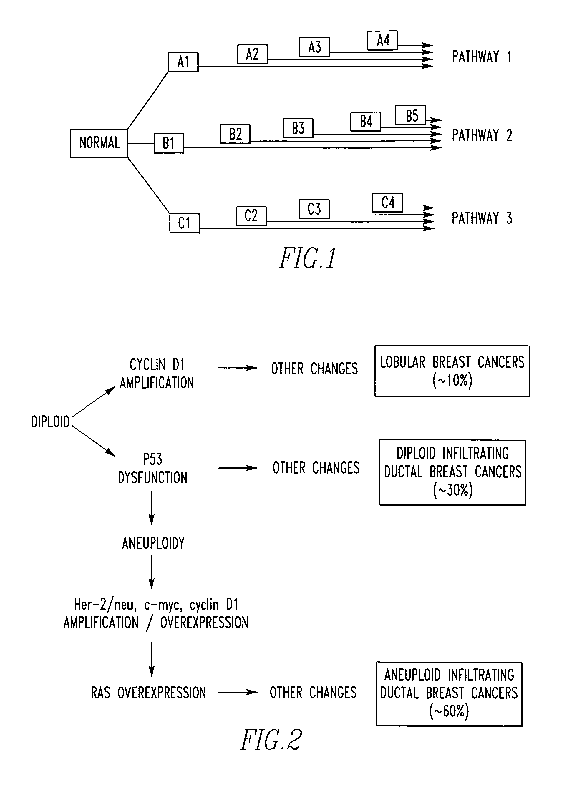 Method for prognostic factor analysis regarding cancers