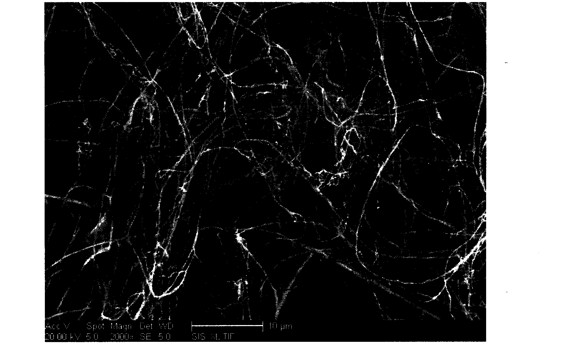 Preparation method of nanometer fibril enteromorpha cellulose