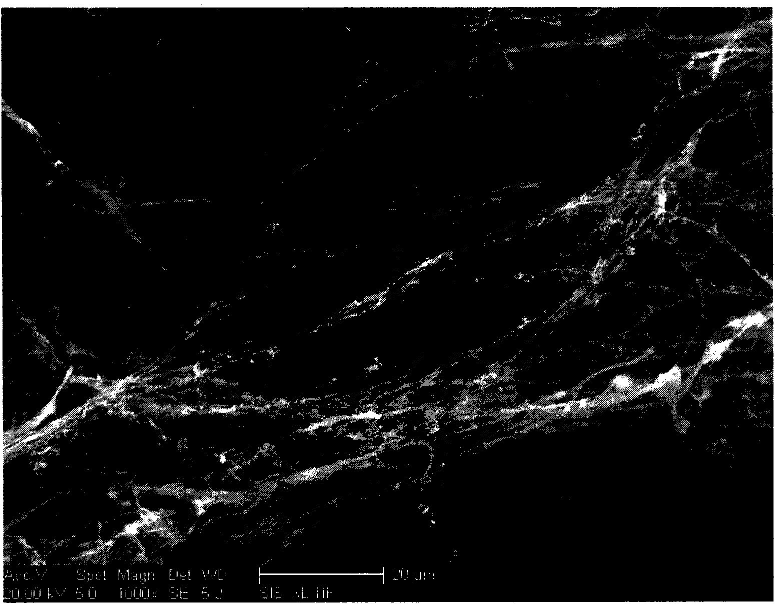 Preparation method of nanometer fibril enteromorpha cellulose