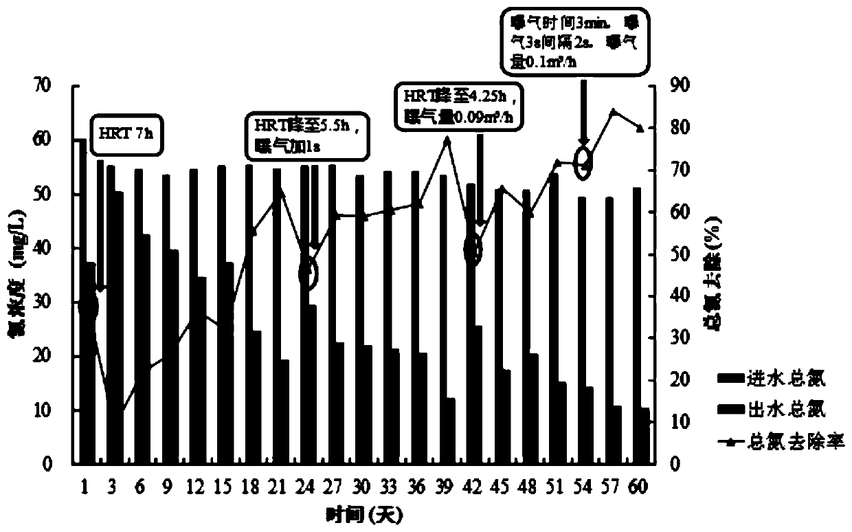 Anaerobic ammonia oxidation-couped denitrification composite denitrification system and quick starting method