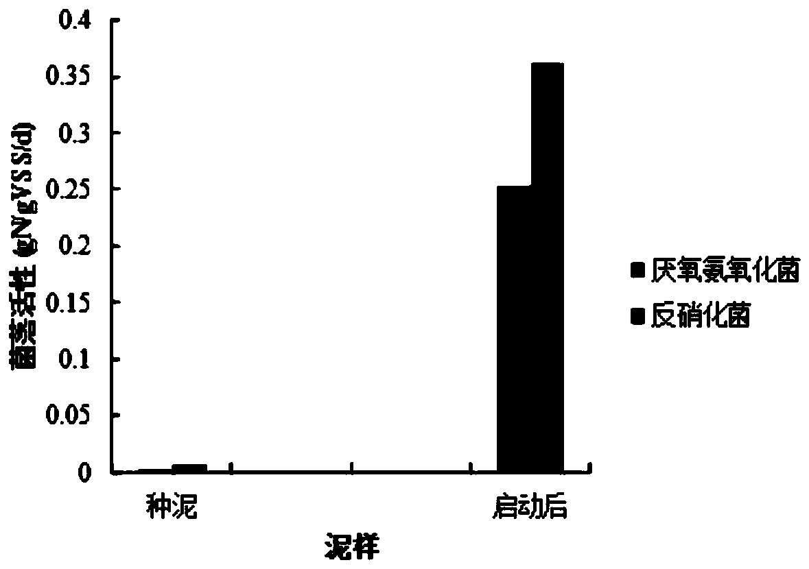 Anaerobic ammonia oxidation-couped denitrification composite denitrification system and quick starting method