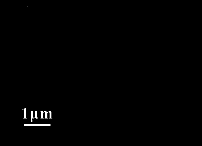 Bismuth titanate nanoneedle and preparation method thereof