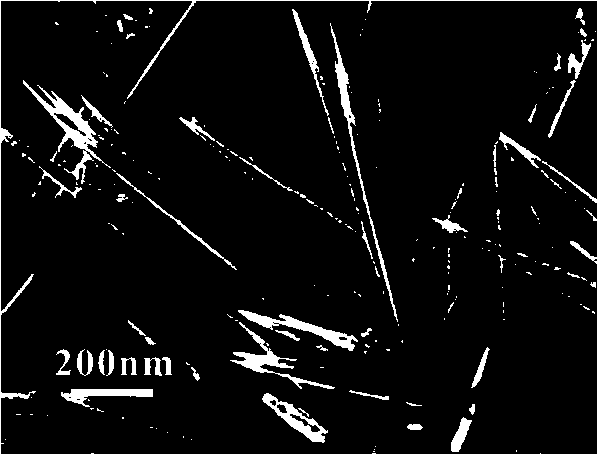 Bismuth titanate nanoneedle and preparation method thereof