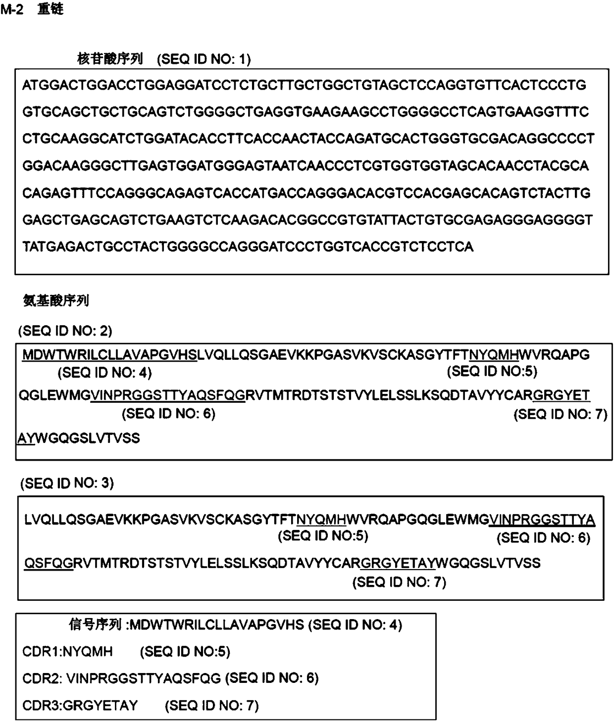 Human monoclonal antibody that binds/neutralizes botulinum neurotoxin type b