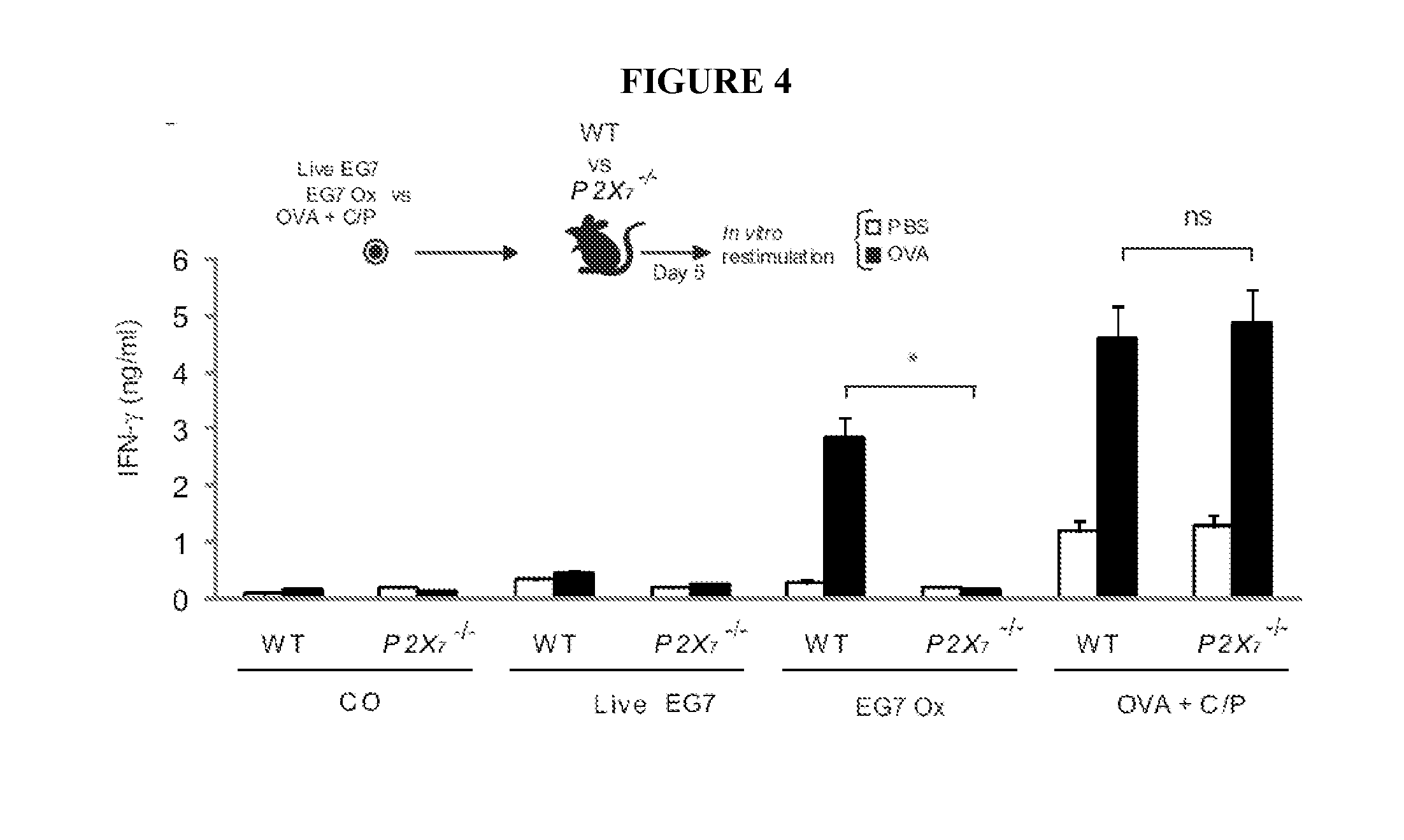 Use of p2x7 pathway for assessing the sensitivity of a subject to a cancer treatment