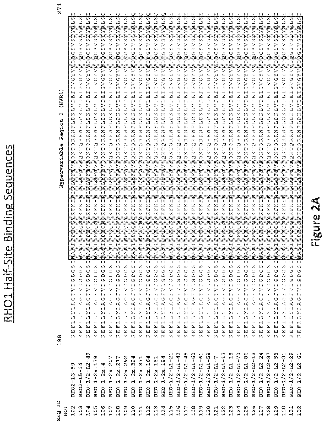 Treatment of retinitis pigmentosa using engineered meganucleases