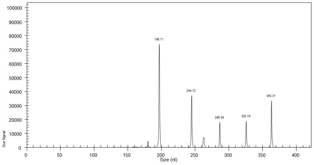 Multiple primers, kit and detection method for detecting fermentation conditions affecting the expression level of Saccharomyces cerevisiae protease a gene