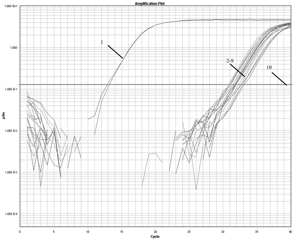 Fluorogenic quantitative PCR detection kit and detection method for detecting mass percent of beef component in mixed meat product