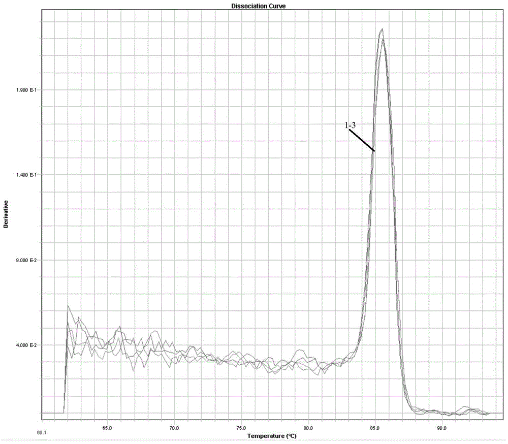 Fluorogenic quantitative PCR detection kit and detection method for detecting mass percent of beef component in mixed meat product