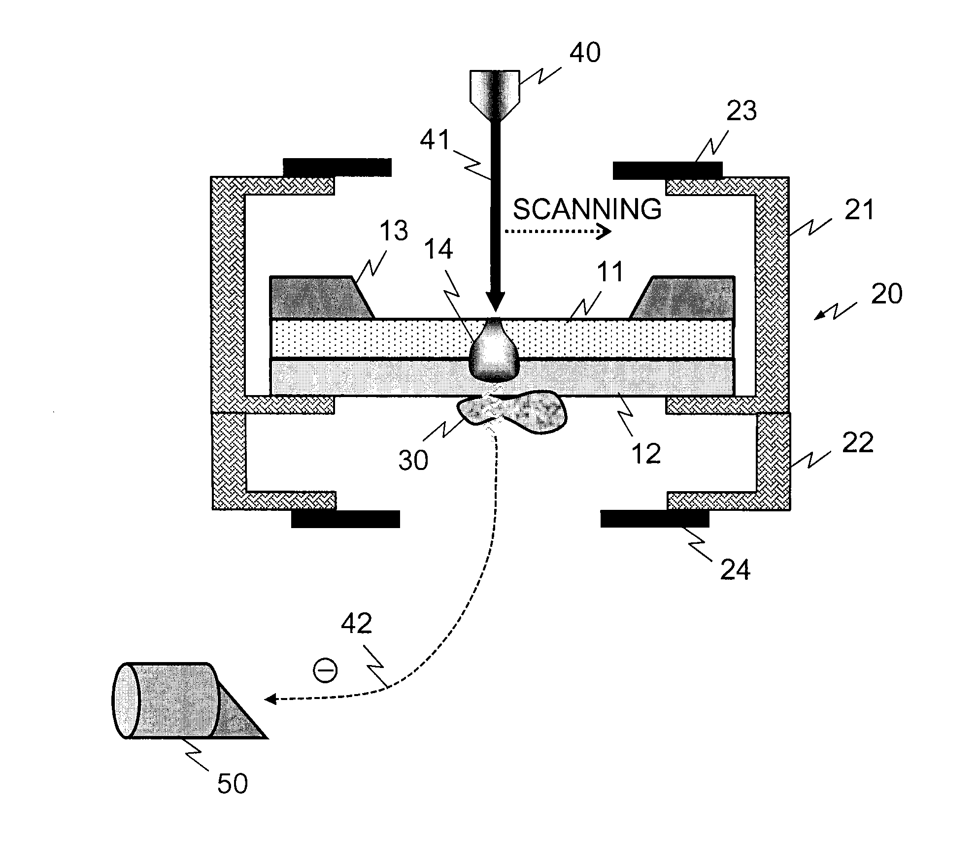 Sample supporting member for observing scanning electron microscopic image and method for observing scanning electron microscopic image