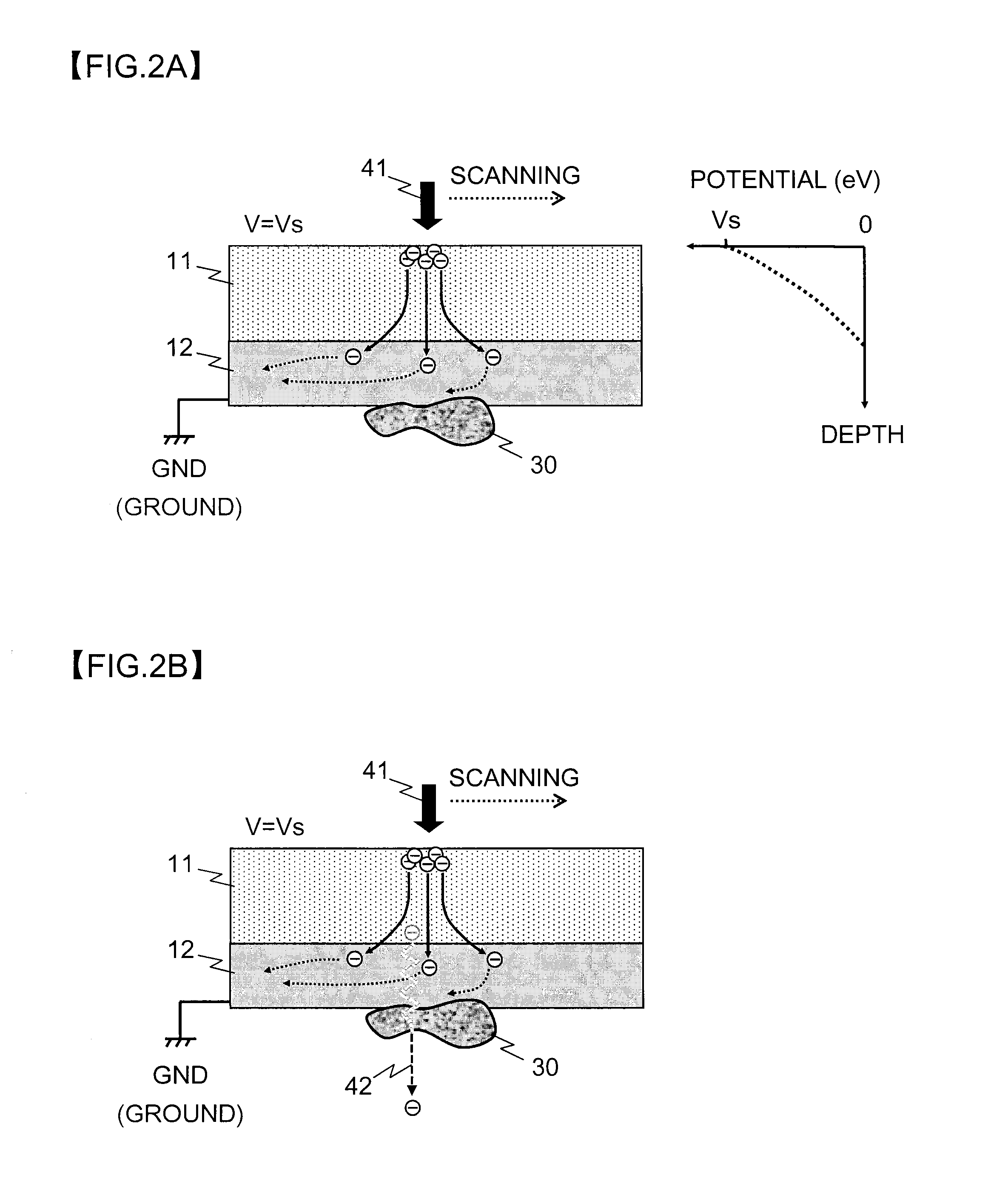 Sample supporting member for observing scanning electron microscopic image and method for observing scanning electron microscopic image