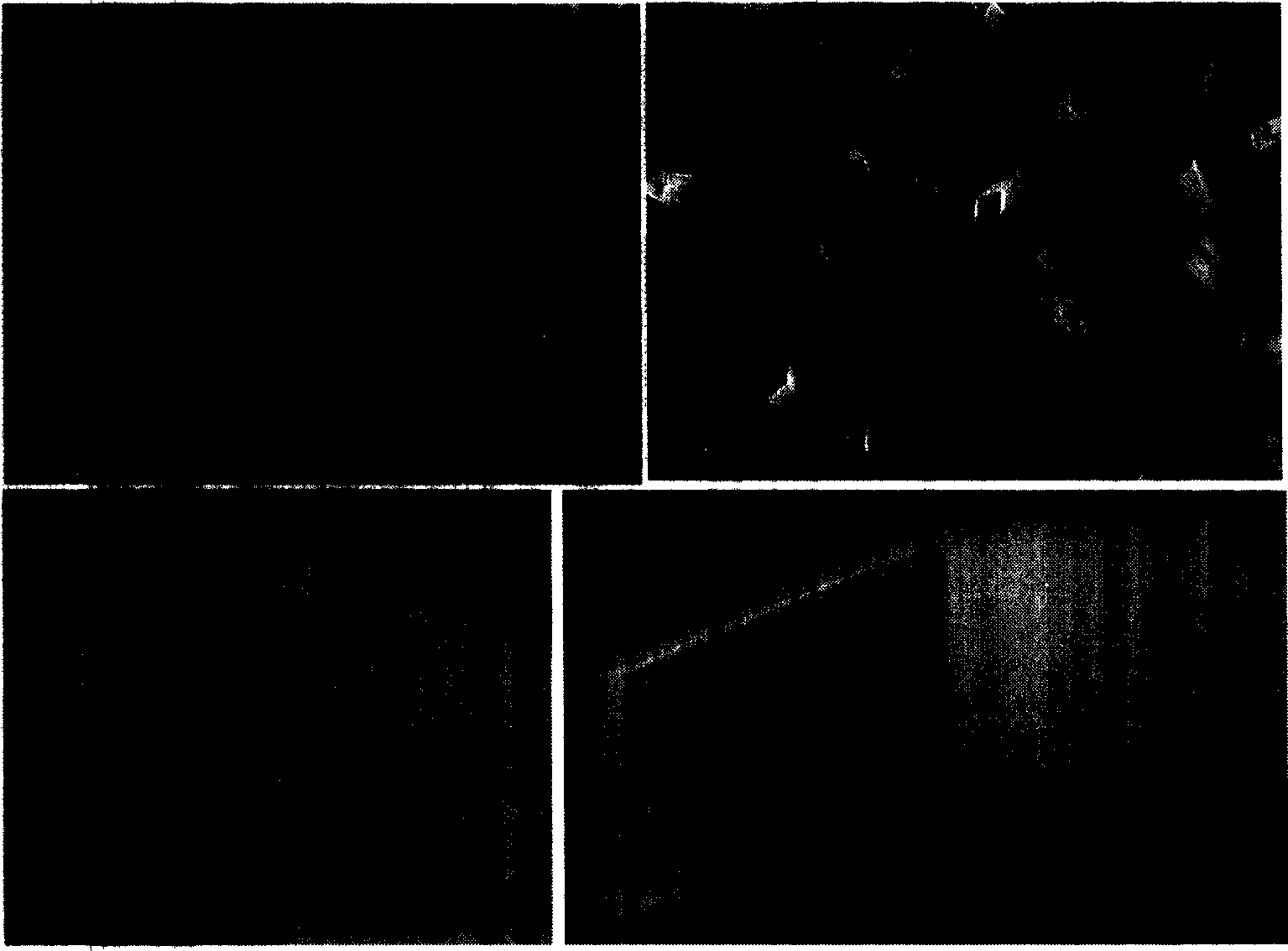 Method for preparing organic compound single-crystal nano structure