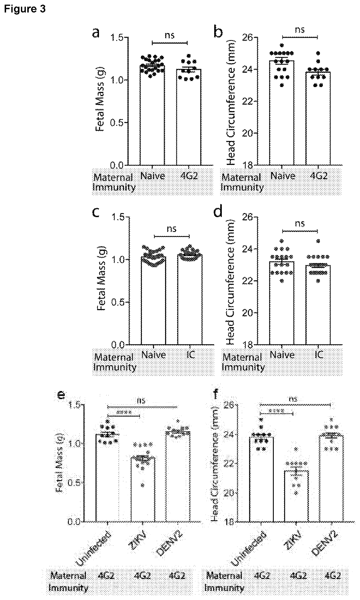 Targeted prevention of maternal to foetal vertical transmission of infection