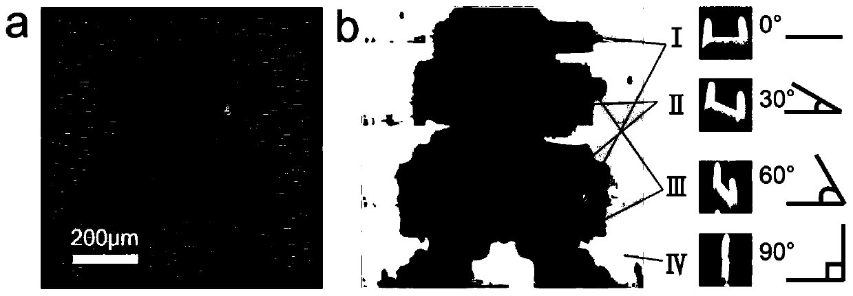 A kind of three-dimensional metamaterial and its preparation method and application