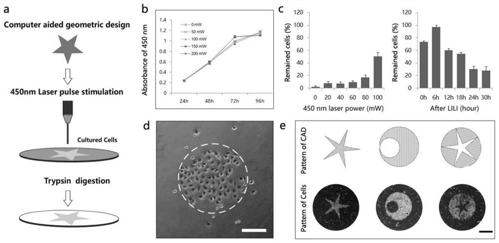 Non-invasive cell patterning method and system based on numerical control laser radiation