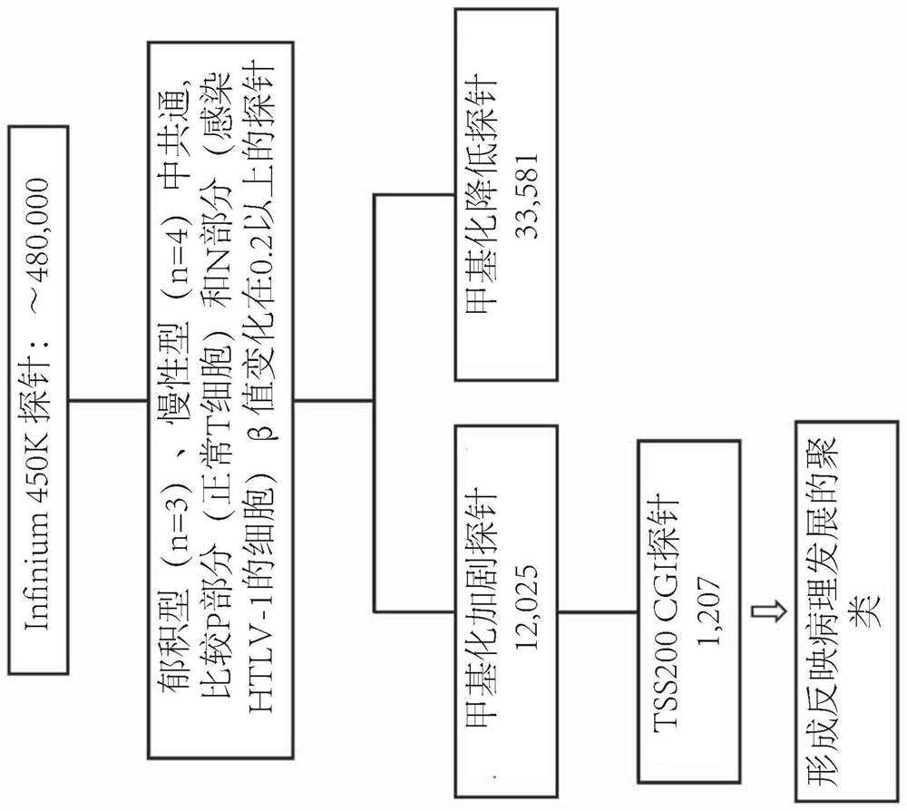 Adult t-cell leukemia-lymphoma detection method