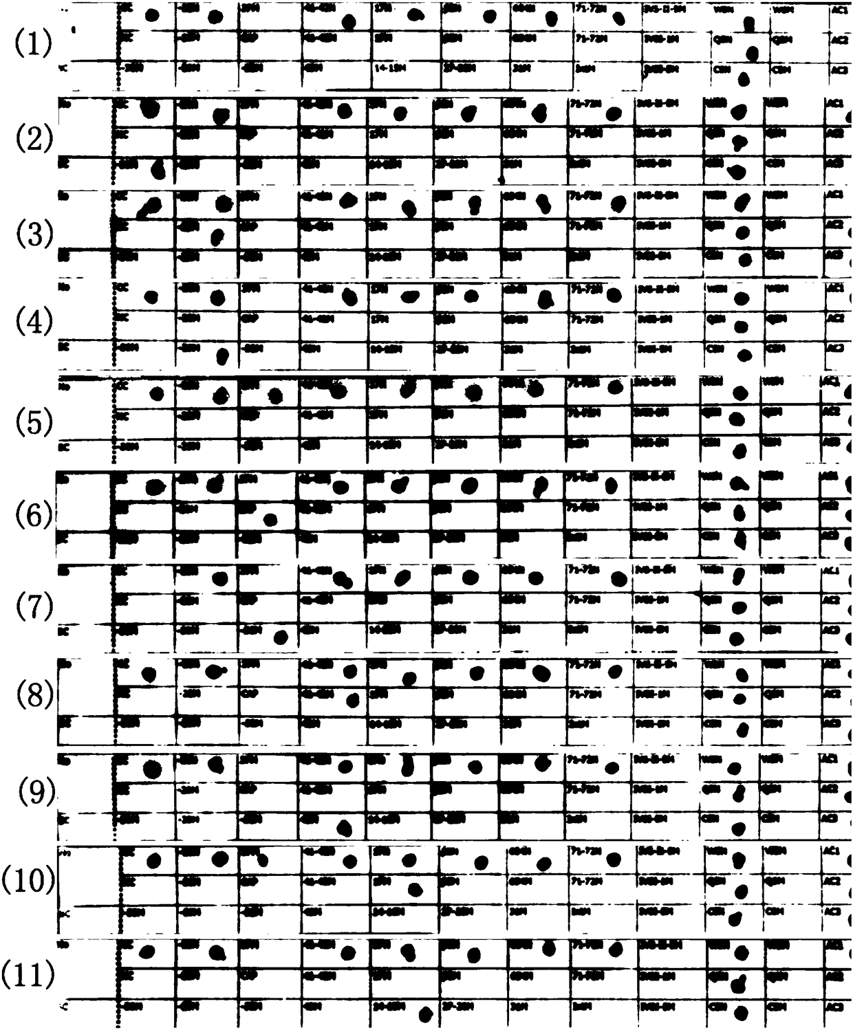 Gene chip, primer set and kit for single-tube detection of non-deletion alpha-thalassemia and beta-thalassemia