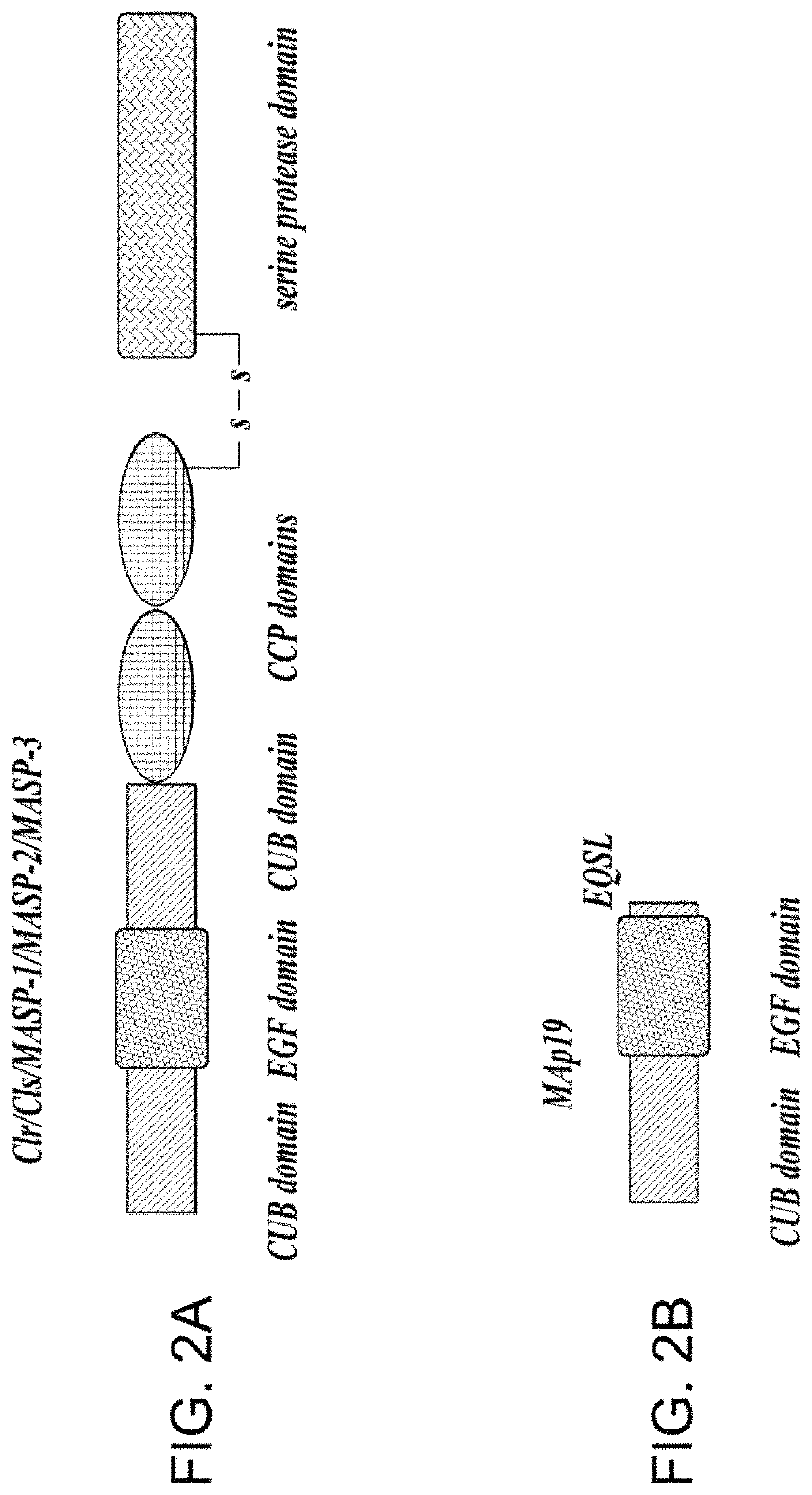 Methods for inhibiting fibrosis in a subject in need thereof