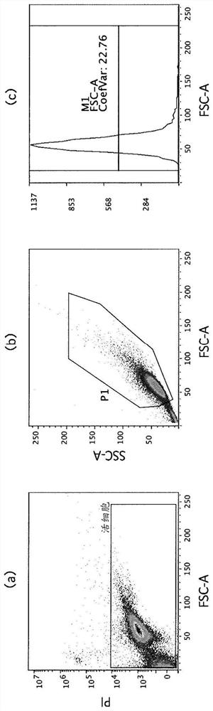 High purity mesenchymal stem cells