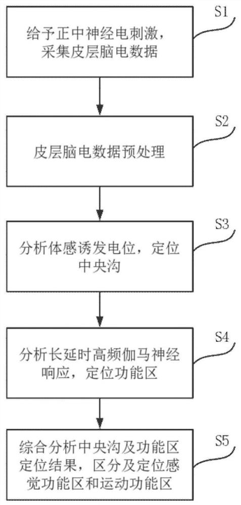 A brain function localization method based on cortical electroencephalography under median nerve electrical stimulation