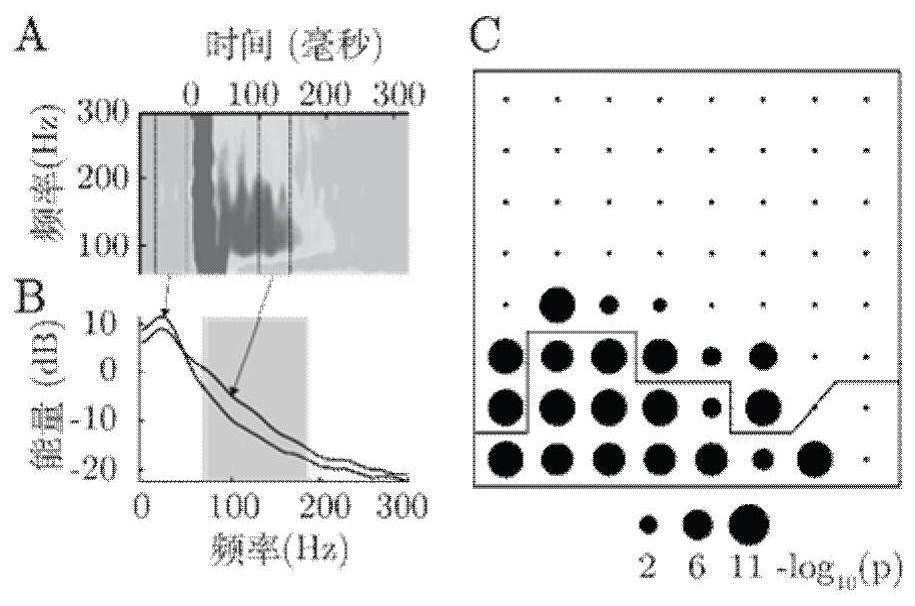 A brain function localization method based on cortical electroencephalography under median nerve electrical stimulation