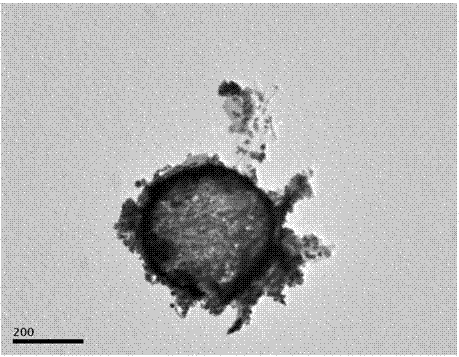 A hollow graphene sphere loaded nano-tin disulfide composite material and its preparation method