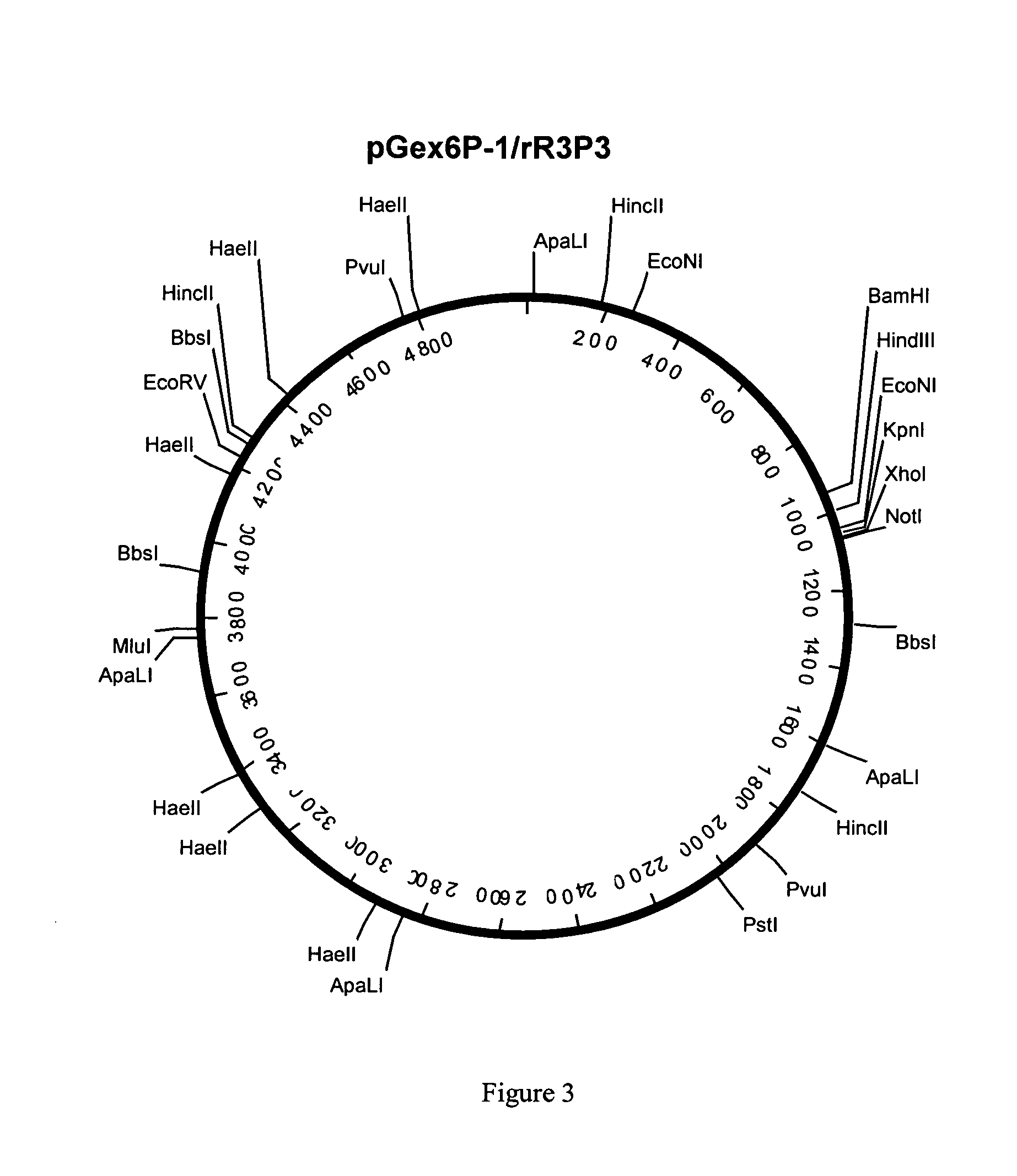 Pituitary adenylate cyclase activating peptide (PACAP) receptor 3 (R3) agonists and their pharmacological methods of use