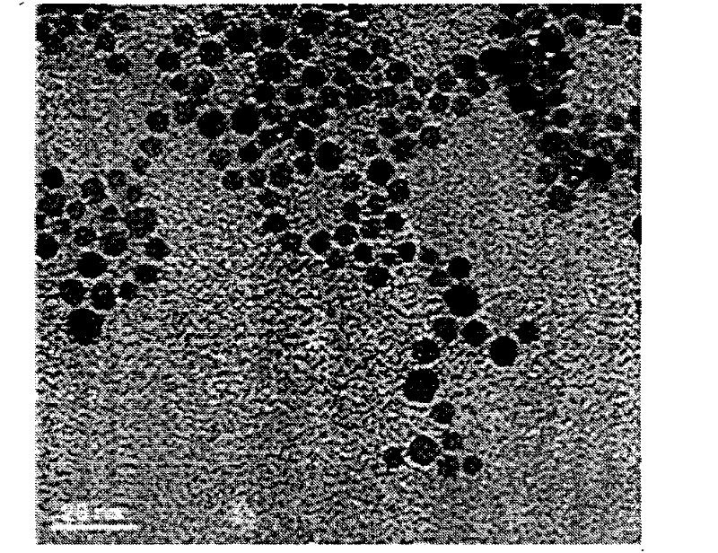 Magnetic tumour target polymer nano vesicle and preparation method thereof