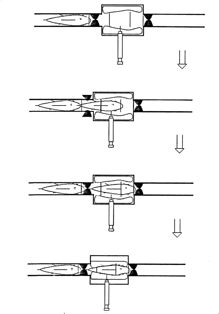 Device for injecting live fish