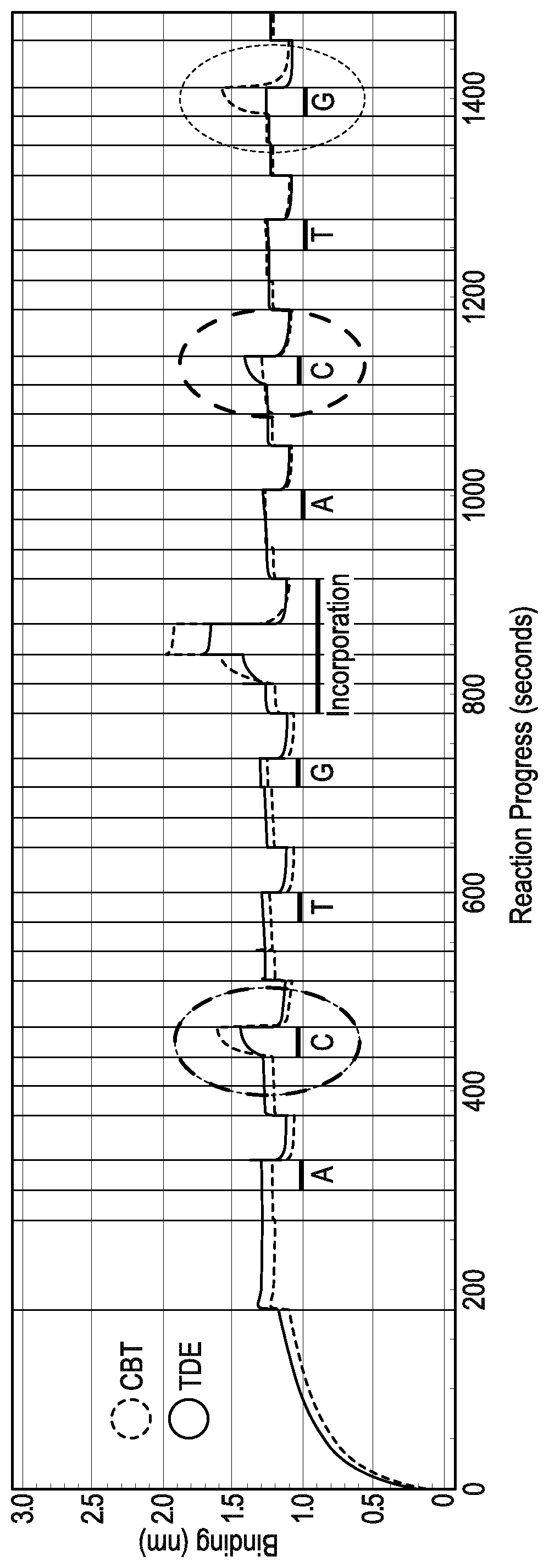 Method of nucleic acid sequence determination