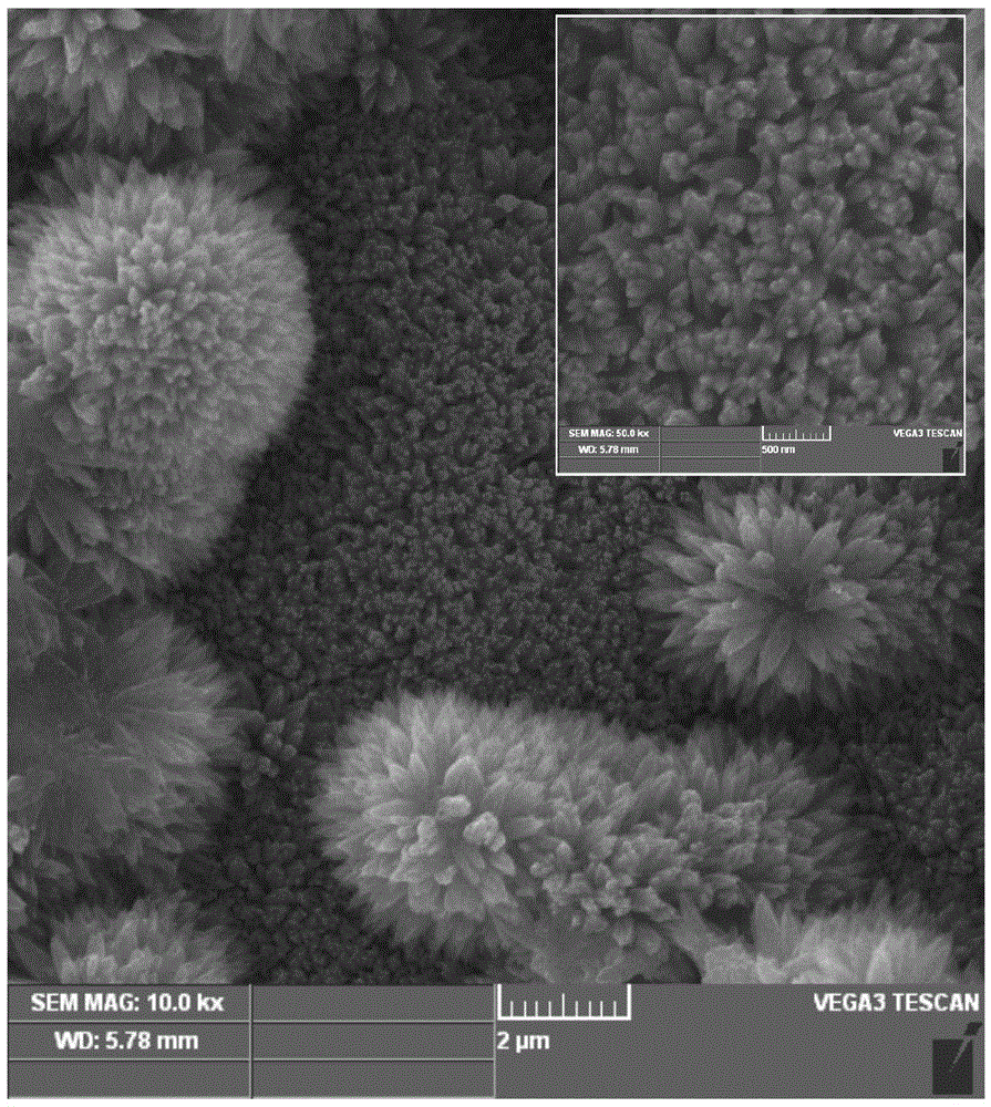 Preparing method for in-site growth of titanium dioxide nanometer array film on surface of metal