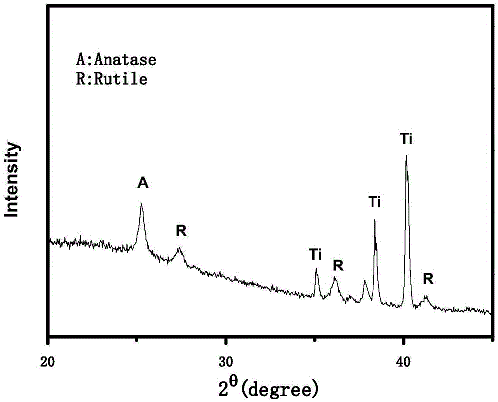 Preparing method for in-site growth of titanium dioxide nanometer array film on surface of metal