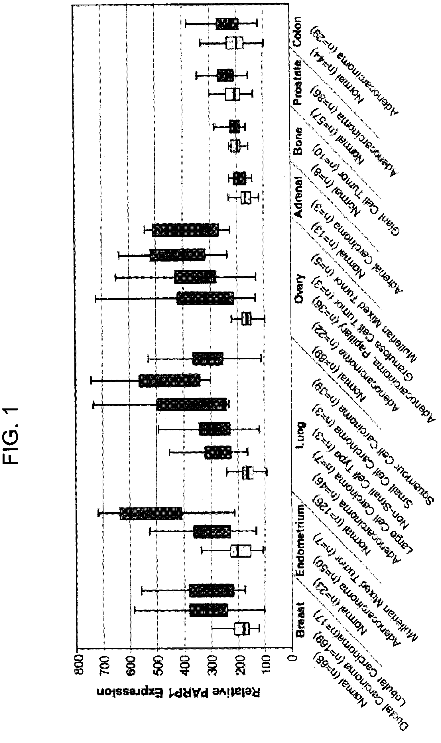 Treatment of uterine cancer and ovarian cancer with a parp inhibitor alone or in combination with Anti-tumor agents