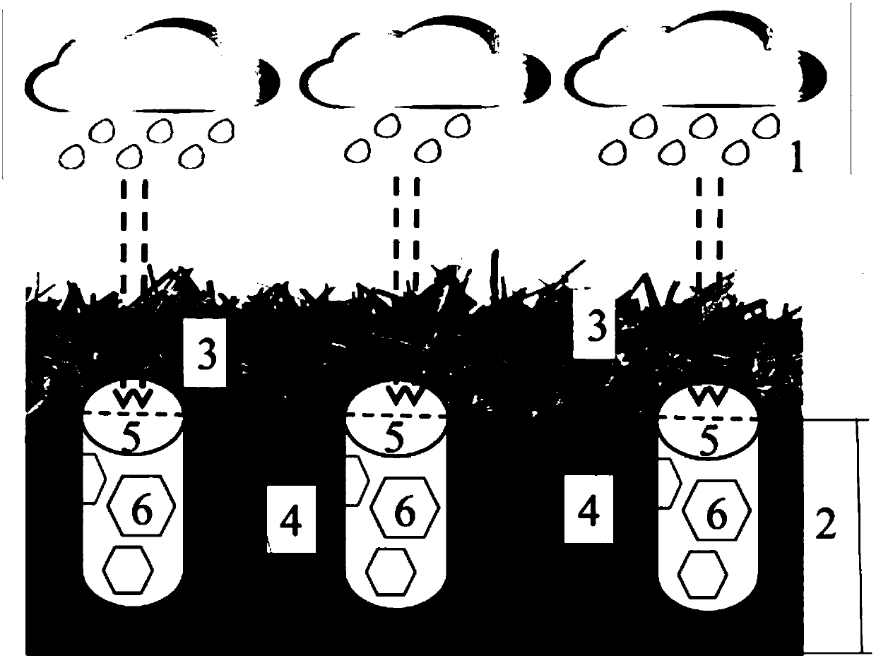 Simple method for improving plant growth