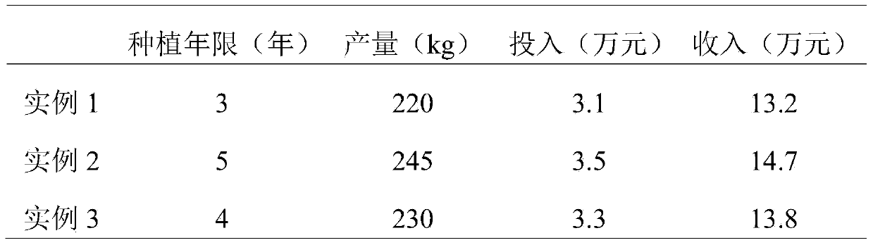 Paris polyphylla cultivation method