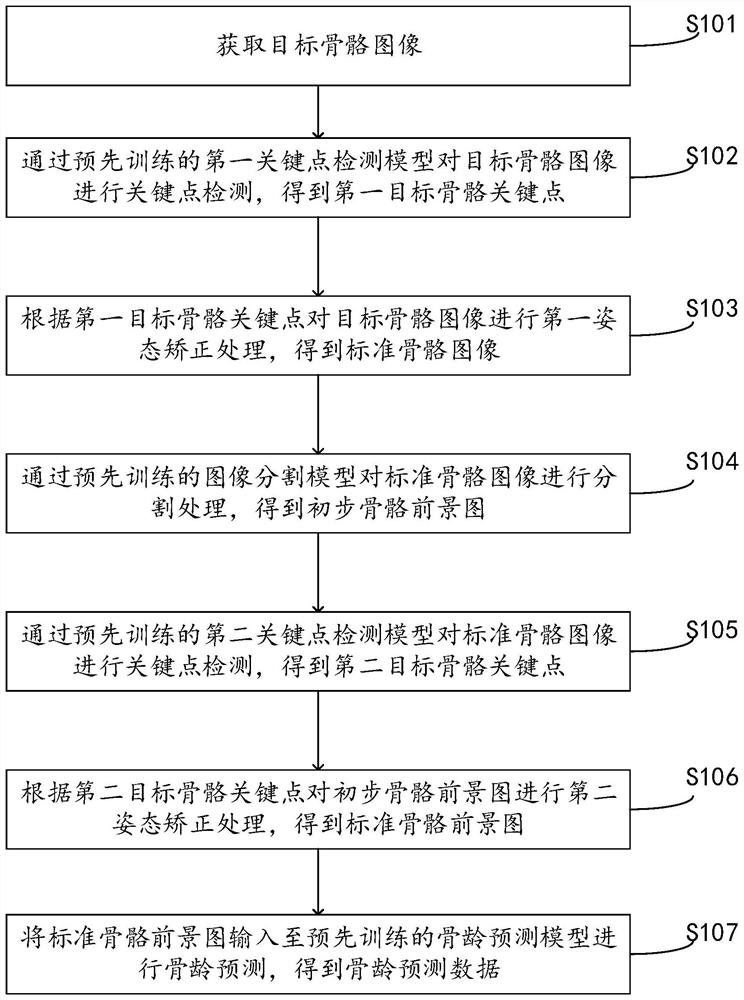 Bone age prediction method and device, electronic equipment and storage medium