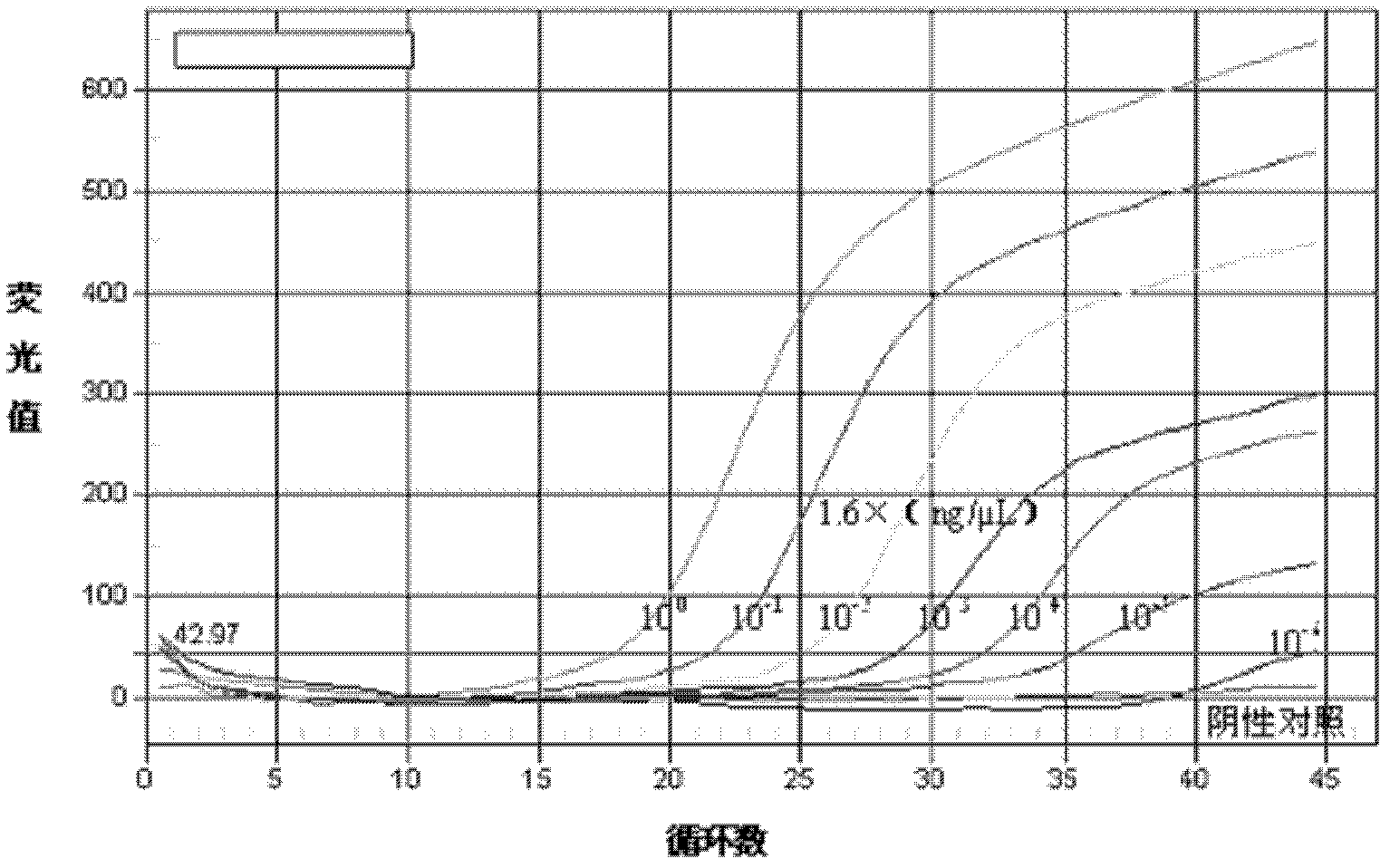 Primers and probe for detecting fragment S of rift valley fever virus