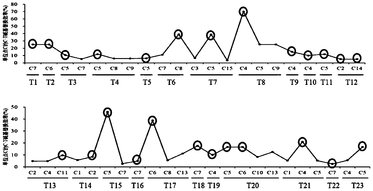 Method for preparing single mutant on basis of SaKKHn-pBE system