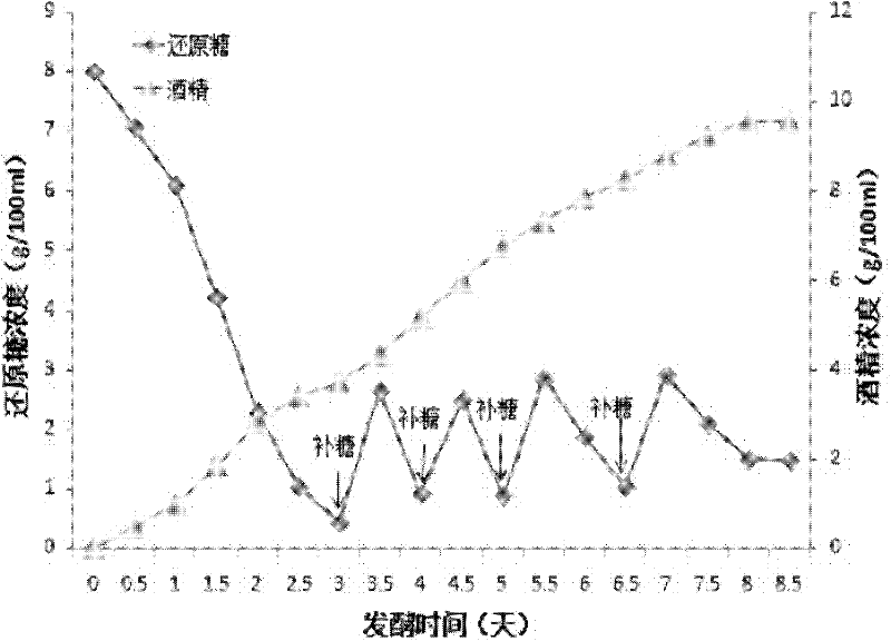 Method for producing alcohol from straws and distilled grains abandoned during production of white spirit