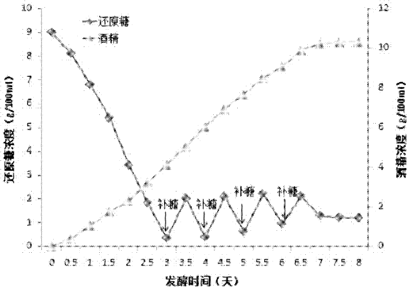 Method for producing alcohol from straws and distilled grains abandoned during production of white spirit