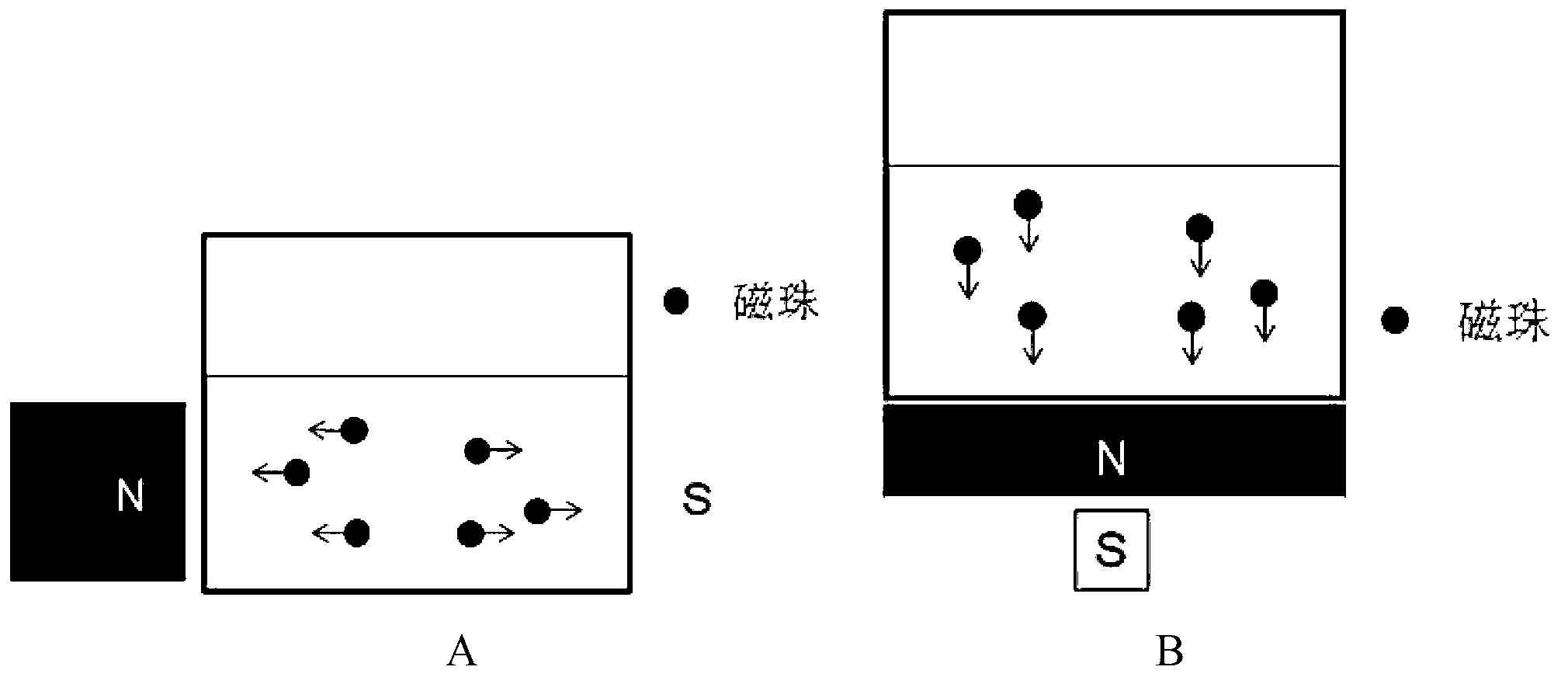 Method for purifying antibodies using high-density peridium magnetic beads of protein A