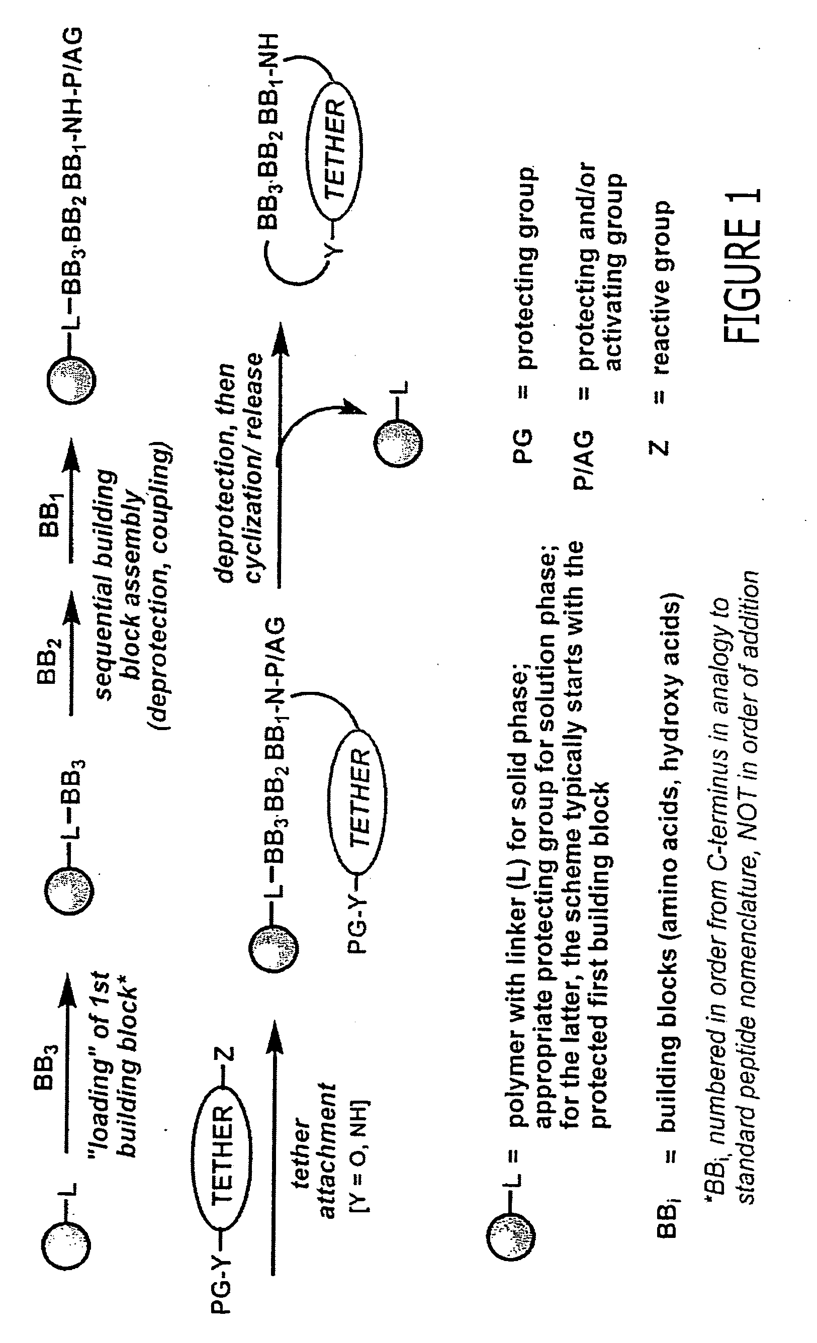 Macrocyclic modulators of the ghrelin receptor