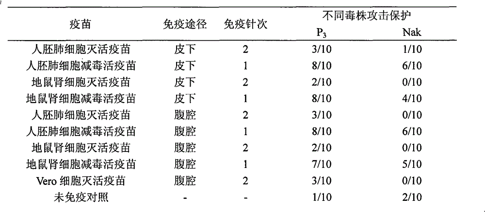 Japanese encephalitis vaccine prepared by human embryonic lung fibroblasts and preparation method thereof