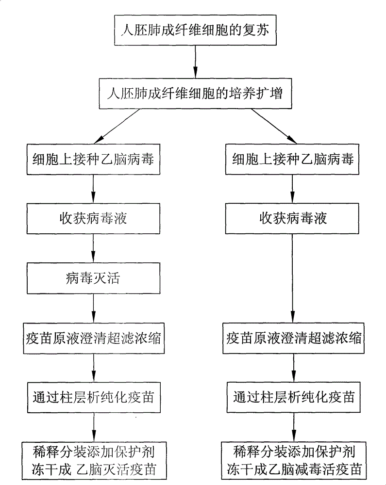 Japanese encephalitis vaccine prepared by human embryonic lung fibroblasts and preparation method thereof