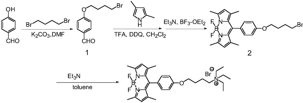 Mitochondria target fluorescence probe, as well as preparation method and application thereof