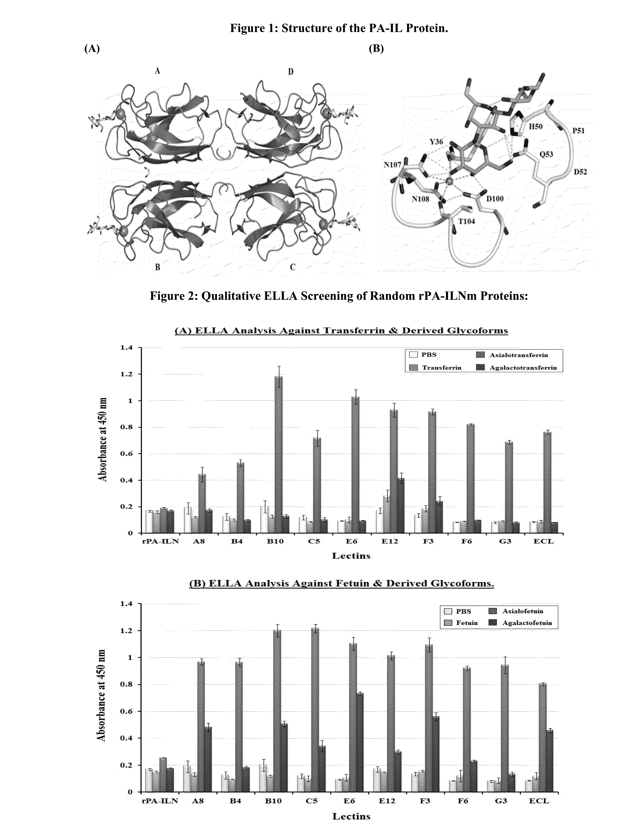 Peptide Analogues of PA-IL and Their Utility for Glycan and Glycoconjugate Analysis and Purification