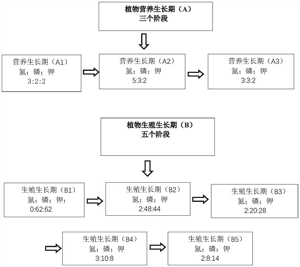 Plant growth self-feedback learning cultivation method based on artificial intelligence