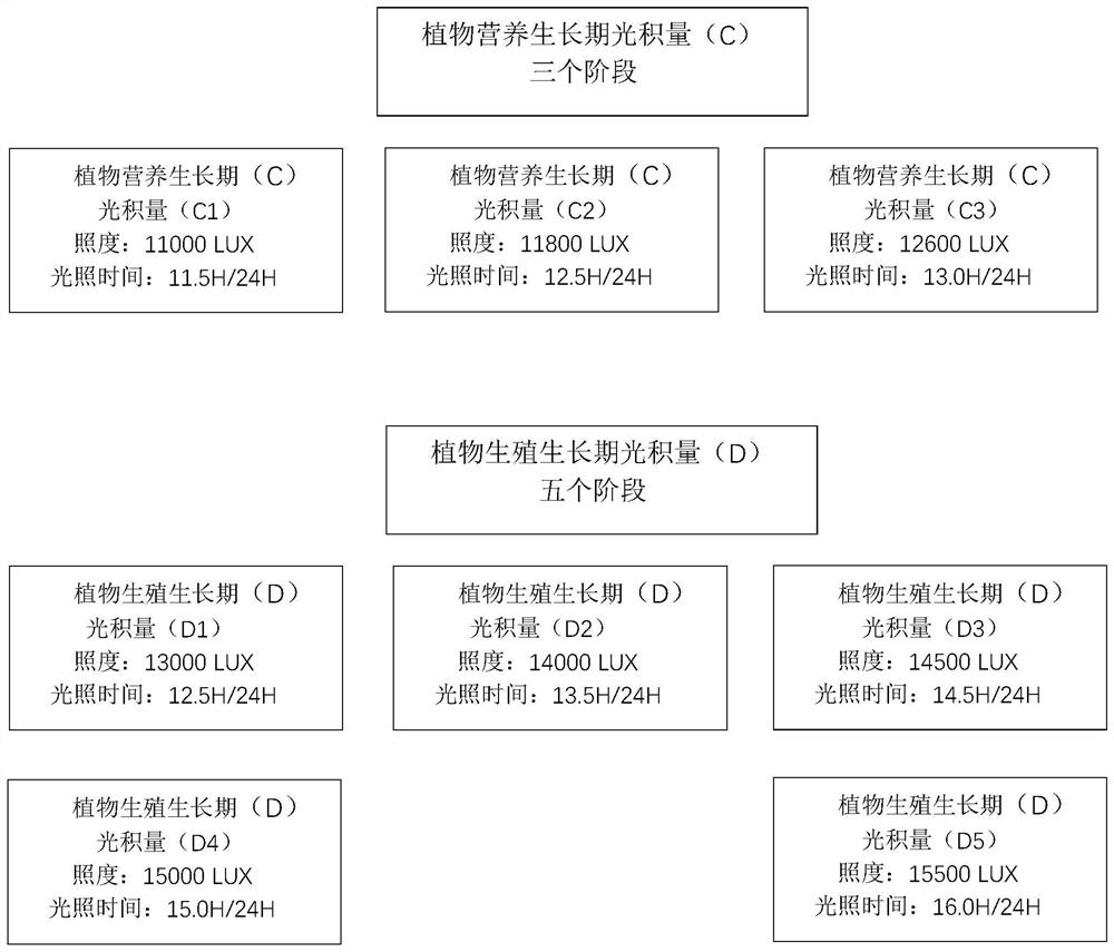 Plant growth self-feedback learning cultivation method based on artificial intelligence