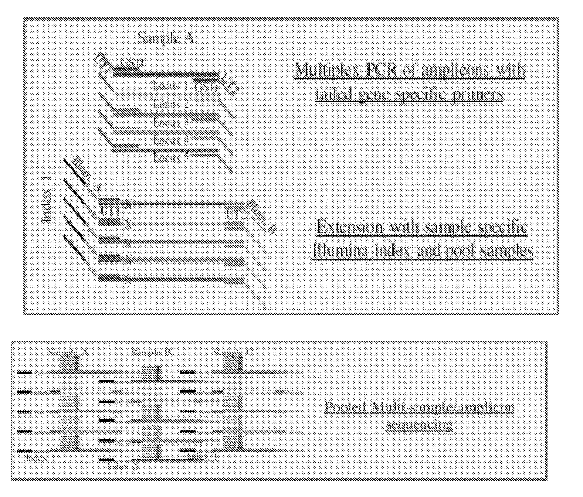 Systems and methods for universal tail-based indexing strategies for amplicon sequencing