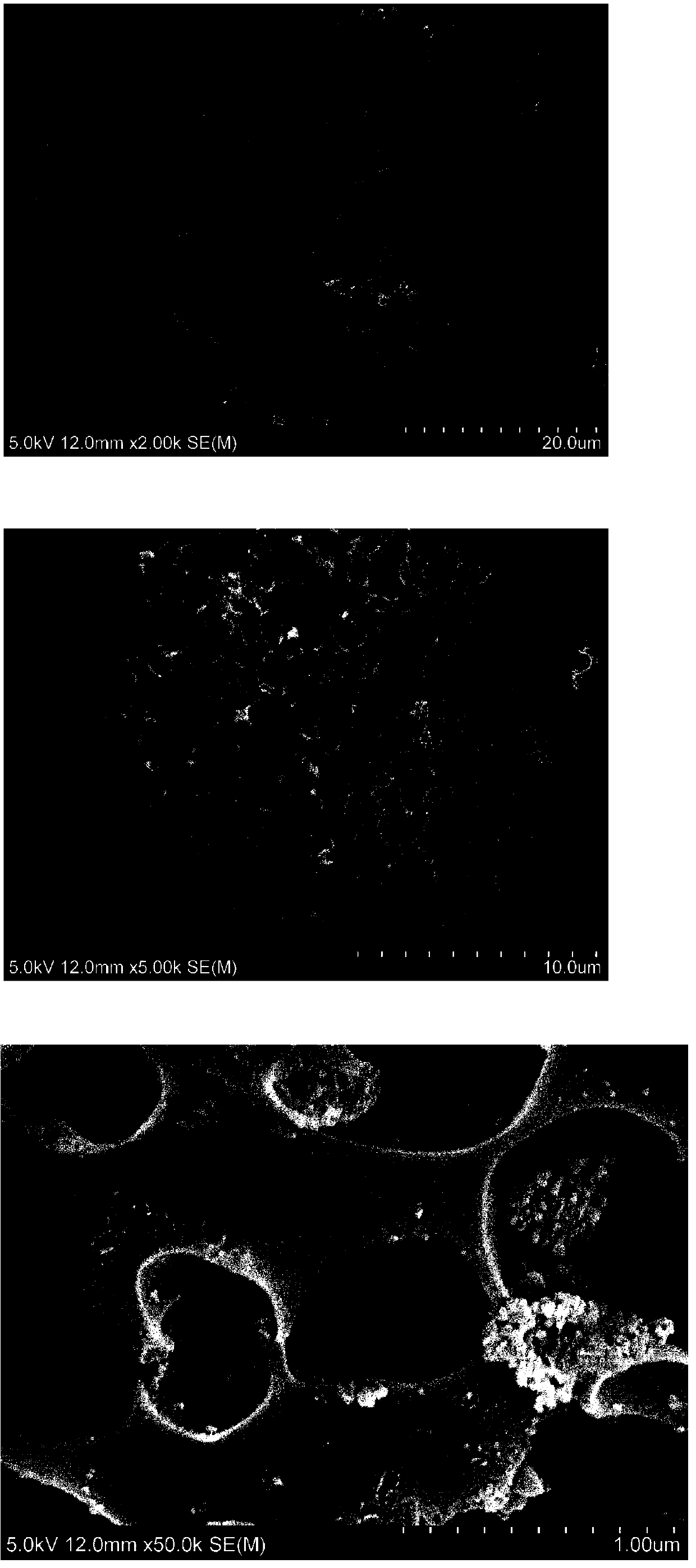 Preparation method and application of biomass porous carbon for supercapacitor